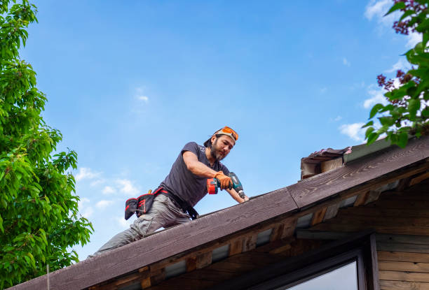 Best Roof Waterproofing  in USA